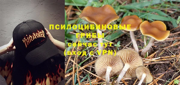 каннабис Алексеевка