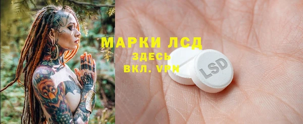 ГАЛЛЮЦИНОГЕННЫЕ ГРИБЫ Алексин