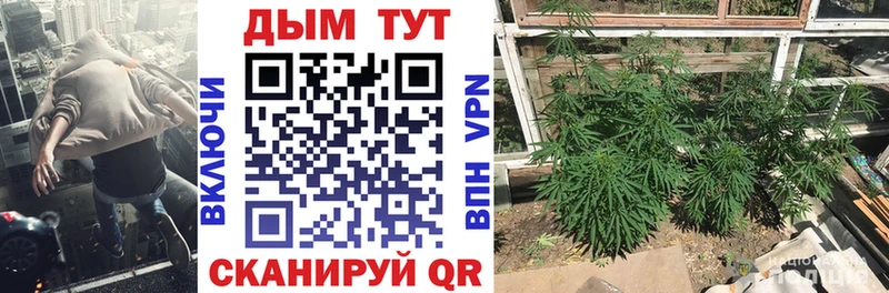 Марихуана OG Kush Долинск